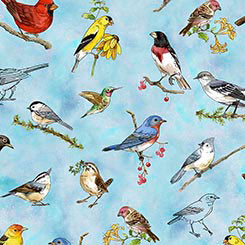 QT Fabrics Drawn To Birds 31135-B Tossed Birds Sky Blue | SOLD BY THE HALF-YARD